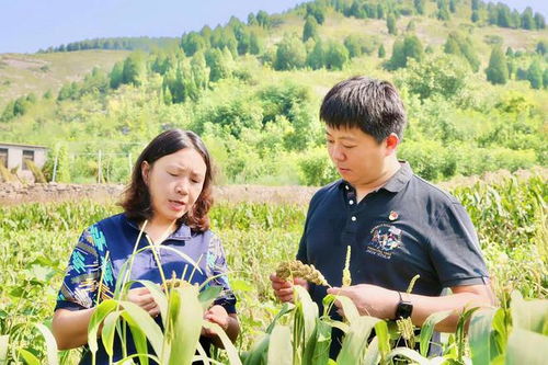 王浩 鋪就鄉(xiāng)村振興路，行動書寫使命擔(dān)當(dāng)