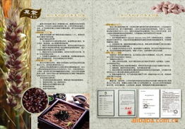 北京高天厚土農副產品公司官網 - 綠色農副產品銷售專家