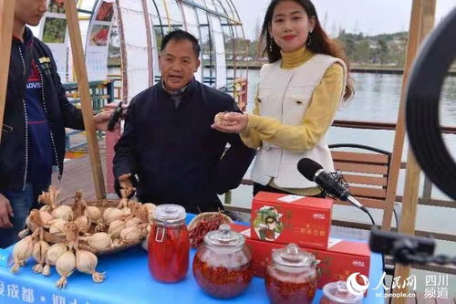 智囊論道公園社區(qū)，雙流黃水鎮(zhèn)打造宜業(yè)宜居新典范