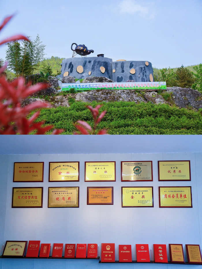 鎮(zhèn)巴鹽場(chǎng)鎮(zhèn) 傳承與創(chuàng)新的交融，探索茶葉發(fā)展多元之路